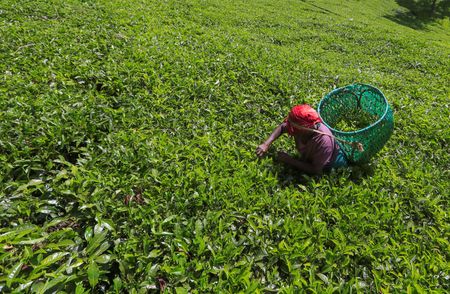 tagreuters.com2023binary_LYNXMPEJ2C0IQ-VIEWIMAGE