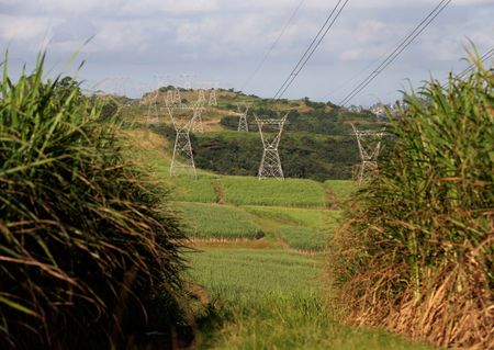 tagreuters.com2024binary_LYNXMPEK7Q0E4-VIEWIMAGE