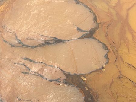 tagreuters.com2024binary_LYNXNPEK25064-VIEWIMAGE