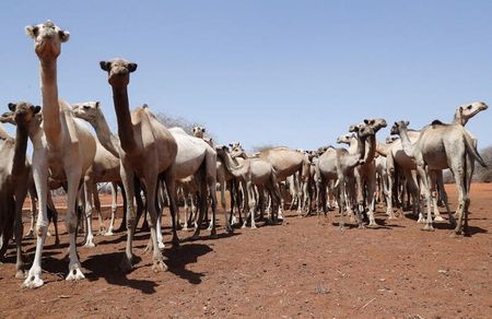 tagreuters.com2022binary_LYNXMPEI8025S-VIEWIMAGE