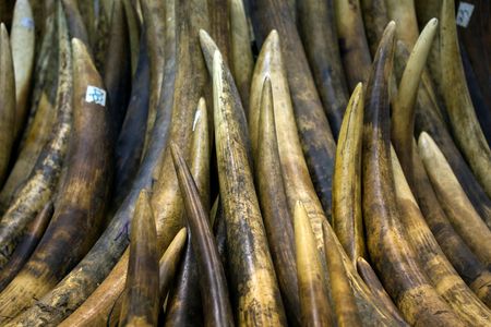 tagreuters.com2024binary_LYNXMPEK4S0O7-VIEWIMAGE