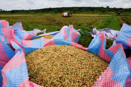 tagreuters.com2024binary_LYNXMPEK701FD-VIEWIMAGE