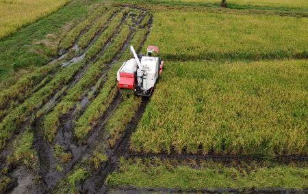 tagreuters.com2024binary_LYNXMPEK701FE-VIEWIMAGE