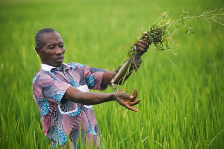 tagreuters.com2024binary_LYNXMPEK701FJ-VIEWIMAGE