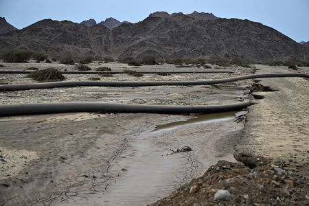 tagreuters.com2024binary_LYNXMPEK7Q0PK-VIEWIMAGE