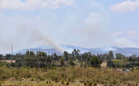 tagreuters.com2025binary_LYNXMPEL7L0ET-VIEWIMAGE