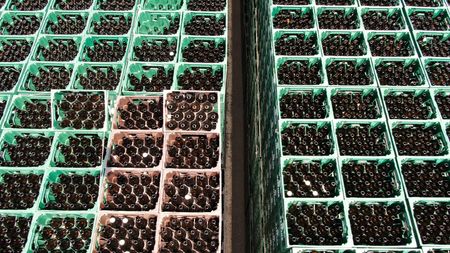 tagreuters.com2023binary_LYNXMPEJ2C0BF-VIEWIMAGE