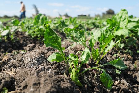 tagreuters.com2024binary_LYNXMPEK7F0B5-VIEWIMAGE