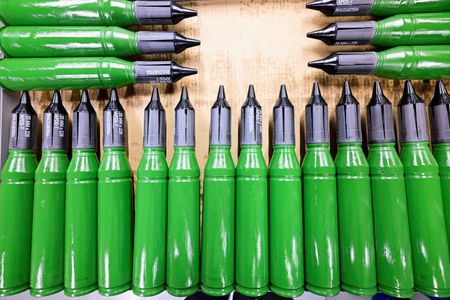 tagreuters.com2024binary_LYNXNPEK2P0D5-VIEWIMAGE