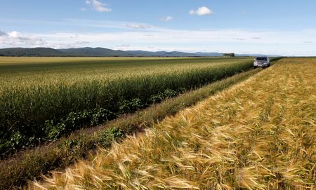 tagreuters.com2025binary_LYNXNPEL8E05Z-VIEWIMAGE