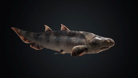 tagreuters.com2022binary_LYNXMPEI8R0UM-VIEWIMAGE