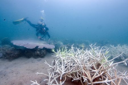 tagreuters.com2024binary_LYNXMPEK4M02B-VIEWIMAGE