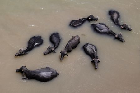 tagreuters.com2024binary_LYNXMPEK4R0IK-VIEWIMAGE