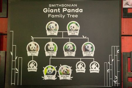 tagreuters.com2024binary_LYNXMPEK4S0Q5-VIEWIMAGE