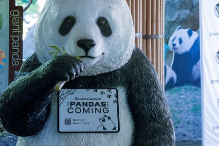 tagreuters.com2024binary_LYNXMPEK4S0Q6-VIEWIMAGE