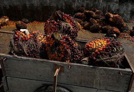 tagreuters.com2024binary_LYNXNPEK2509L-VIEWIMAGE