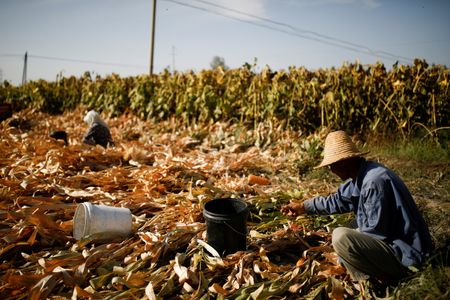 tagreuters.com2025binary_LYNXMPEL3T03R-VIEWIMAGE