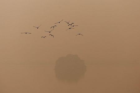 tagreuters.com2025binary_LYNXMPELA90AN-VIEWIMAGE