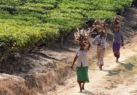 tagreuters.com2025binary_LYNXMPEL150C7-VIEWIMAGE