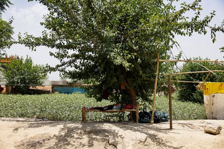 tagreuters.com2024binary_LYNXMPEK4T0KQ-VIEWIMAGE