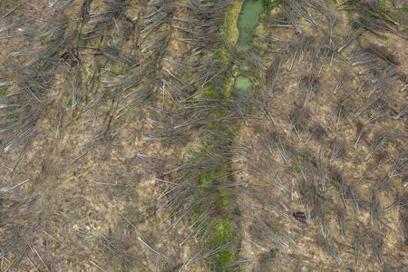 tagreuters.com2023binary_LYNXMPEJ3K0PU-VIEWIMAGE