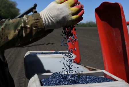 tagreuters.com2024binary_LYNXMPEK7E0LA-VIEWIMAGE