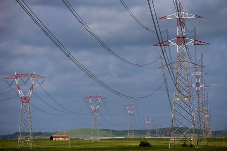 tagreuters.com2024binary_LYNXNPEK2I0OP-VIEWIMAGE