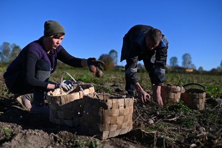 tagreuters.com2025binary_LYNXMPEL460YX-VIEWIMAGE