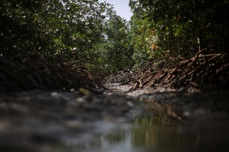 tagreuters.com2025binary_LYNXMPEL6R0LV-VIEWIMAGE