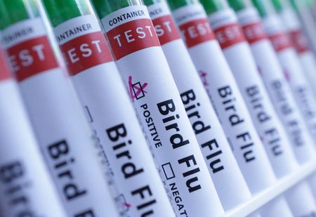 tagreuters.com2025binary_LYNXNPEL0Q0K5-VIEWIMAGE