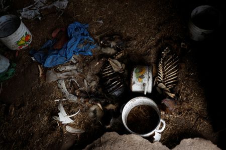 tagreuters.com2022binary_LYNXMPEIBT0C6-VIEWIMAGE