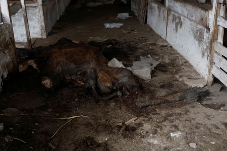 tagreuters.com2022binary_LYNXMPEIBT0C7-VIEWIMAGE