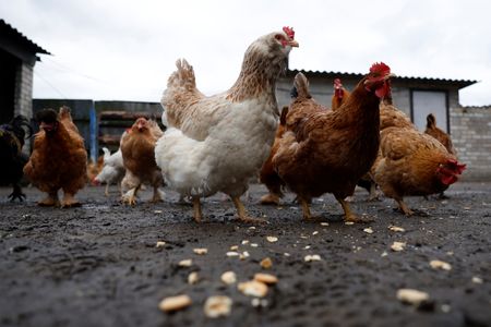 tagreuters.com2022binary_LYNXMPEIBT0C9-VIEWIMAGE