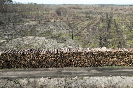 tagreuters.com2023binary_LYNXMPEJ2O027-VIEWIMAGE