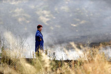 tagreuters.com2024binary_LYNXMPEK6U0SF-VIEWIMAGE