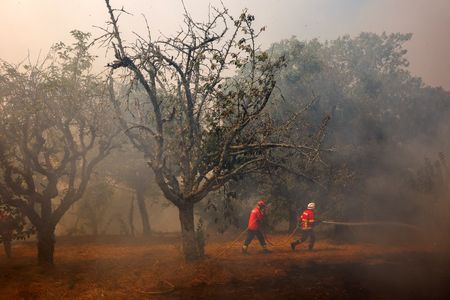 tagreuters.com2024binary_LYNXMPEK8F0H3-VIEWIMAGE