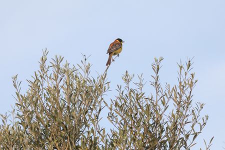 tagreuters.com2025binary_LYNXMPEL4E09K-VIEWIMAGE