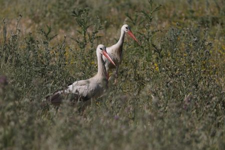 tagreuters.com2025binary_LYNXMPEL4E09O-VIEWIMAGE