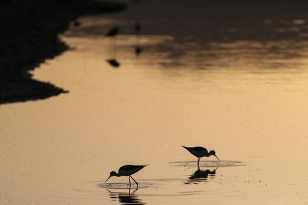 tagreuters.com2025binary_LYNXMPEL4E09V-VIEWIMAGE