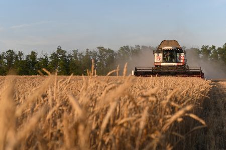 tagreuters.com2025binary_LYNXMPEL5J0UI-VIEWIMAGE