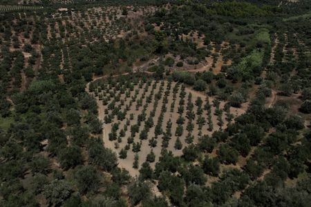 tagreuters.com2025binary_LYNXMPEL6H0US-VIEWIMAGE