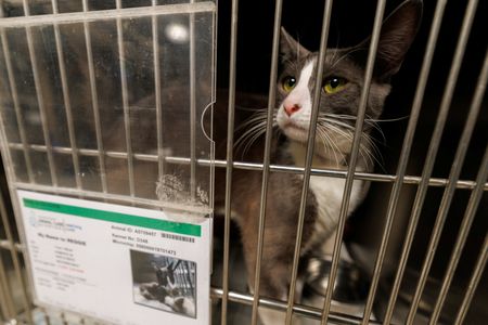 tagreuters.com2025binary_LYNXMPEL730CH-VIEWIMAGE