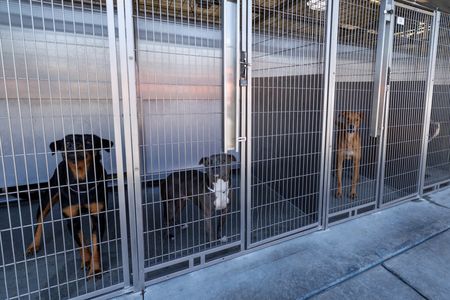 tagreuters.com2025binary_LYNXMPEL730CI-VIEWIMAGE