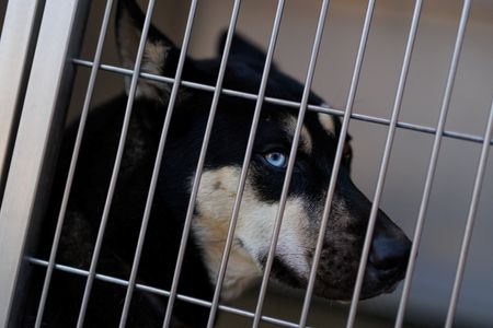 tagreuters.com2025binary_LYNXMPEL730CJ-VIEWIMAGE