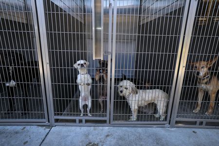 tagreuters.com2025binary_LYNXMPEL730CK-VIEWIMAGE