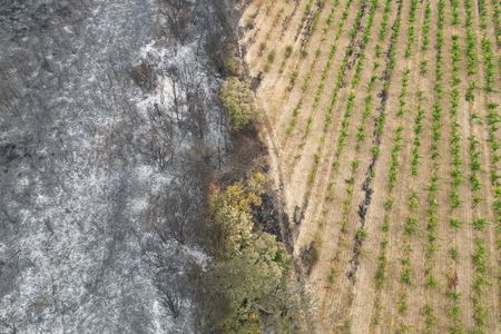 tagreuters.com2025binary_LYNXMPEL7804K-VIEWIMAGE