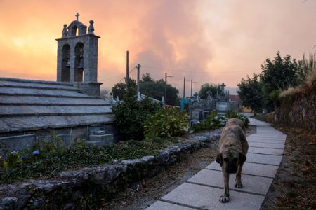 tagreuters.com2025binary_LYNXMPEL7G06P-VIEWIMAGE