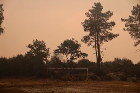 tagreuters.com2025binary_LYNXMPEL7G06Q-VIEWIMAGE