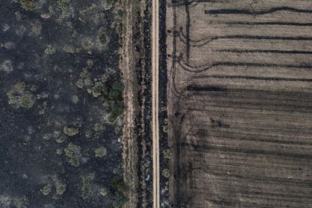 tagreuters.com2025binary_LYNXMPEL7H0AZ-VIEWIMAGE