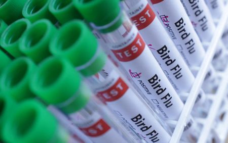 tagreuters.com2025binary_LYNXMPELA40NM-VIEWIMAGE